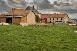 Bucolic