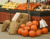 DSC05404 - Pumpkins and More