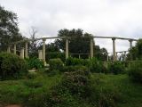 Popp Fountain Sits Idle and Overgrown