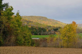 Woodside DSC_7573-1.jpg