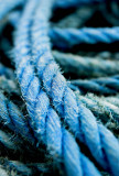_MG_7700 dungeness.jpg