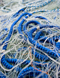 _MG_7718 dungeness.jpg