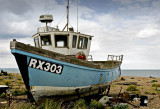 _MG_7744 dungeness.jpg