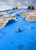 _MG_7771 dungeness.jpg