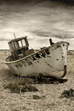 _MG_7802 dungeness.jpg