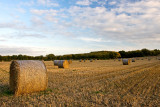 _MG_3264 haybales.jpg