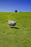 _MG_7000 Brecon Beacons.jpg