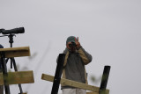 Peace and hawkwatching... Aldo