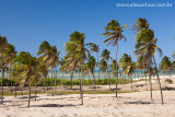 Praia da Enseada dos Patos, Itarema, Ceara 0927 091022 blue.jpg