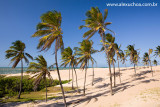 Praia da Enseada dos Patos, Itarema, Ceara 0938 091022 blue.jpg