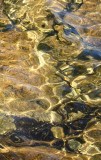 Liquid Gold