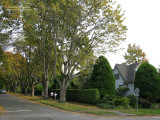 West 43rd Avenue at Cypress Street, Kerrisdale