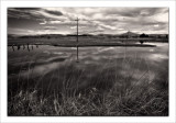 Wetlands
