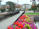 sDSC00363.JPG