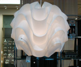 sDSC00385.JPG