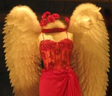 Red Angel_604g