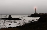 Pigeon Point_605h