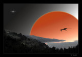 A new day . . . with new hope. . .