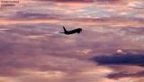 American Airlines B737-823 sunset airline aviation stock photo