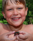 New Swimming Pool Pet