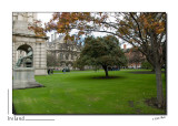 Dublin - Trinity College _D2B8226.jpg