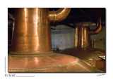 Midleton Distillery_D2B8028.jpg