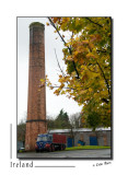Midleton Distillery_D2B8038.jpg