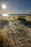 Spurn Point IMG_8083.JPG
