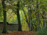 Danes Dyke 005.jpg