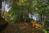 Danes Dyke 010.JPG