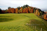 Ochsenwald (91882)