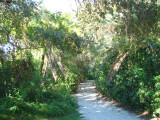 Nature Trail