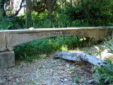 Jungle Walk & Aqueduct