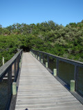 Cock's Foot Bridge