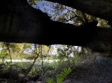 Mustapha Island Arch, Athens County
