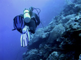 Diving Two Step