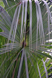 Rainbow Springs State Park