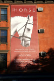 Horse American Museum of Natural History Billboard