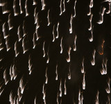 Fireworks - West Greenwich Village