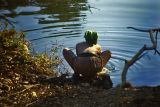 Collecting water, Tana Beles, Ethiopia