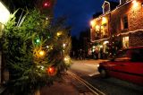 Tree Lights of Castleton