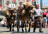 Folklore celebration in Lucerne 2008