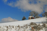 8010DSC_8151.jpg