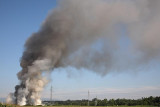 Smoke dim_MG_0408-1.jpg