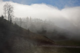 Haze meglica_MG_4315-11.jpg