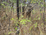 B_0467.jpg
