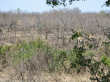 B_0488.jpg