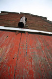 Spout And Chain