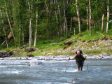 Hoh River (way up stream)