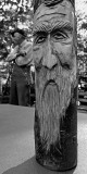 CRADLE OF FORESTRY - WOOD CARVING